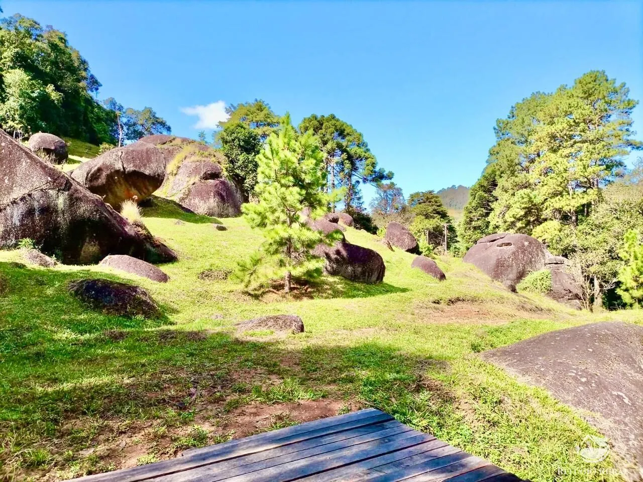Fazenda à venda de 203 ha em Joanópolis, SP, Brasil