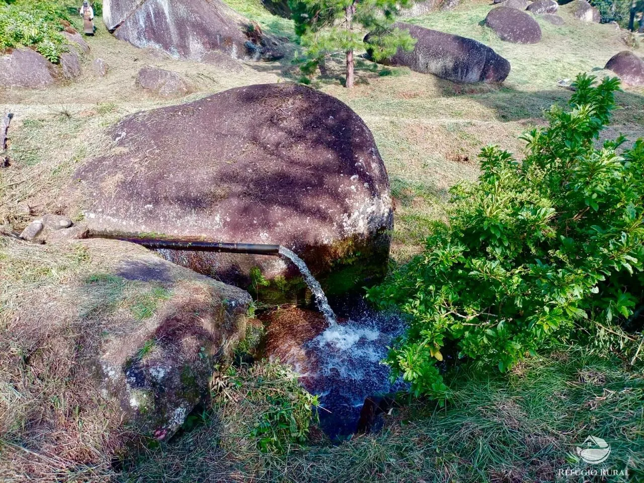 Fazenda à venda de 203 ha em Joanópolis, SP, Brasil
