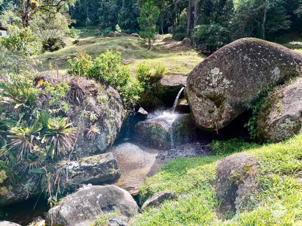 Fazenda à venda de 203 ha em Joanópolis, SP, Brasil