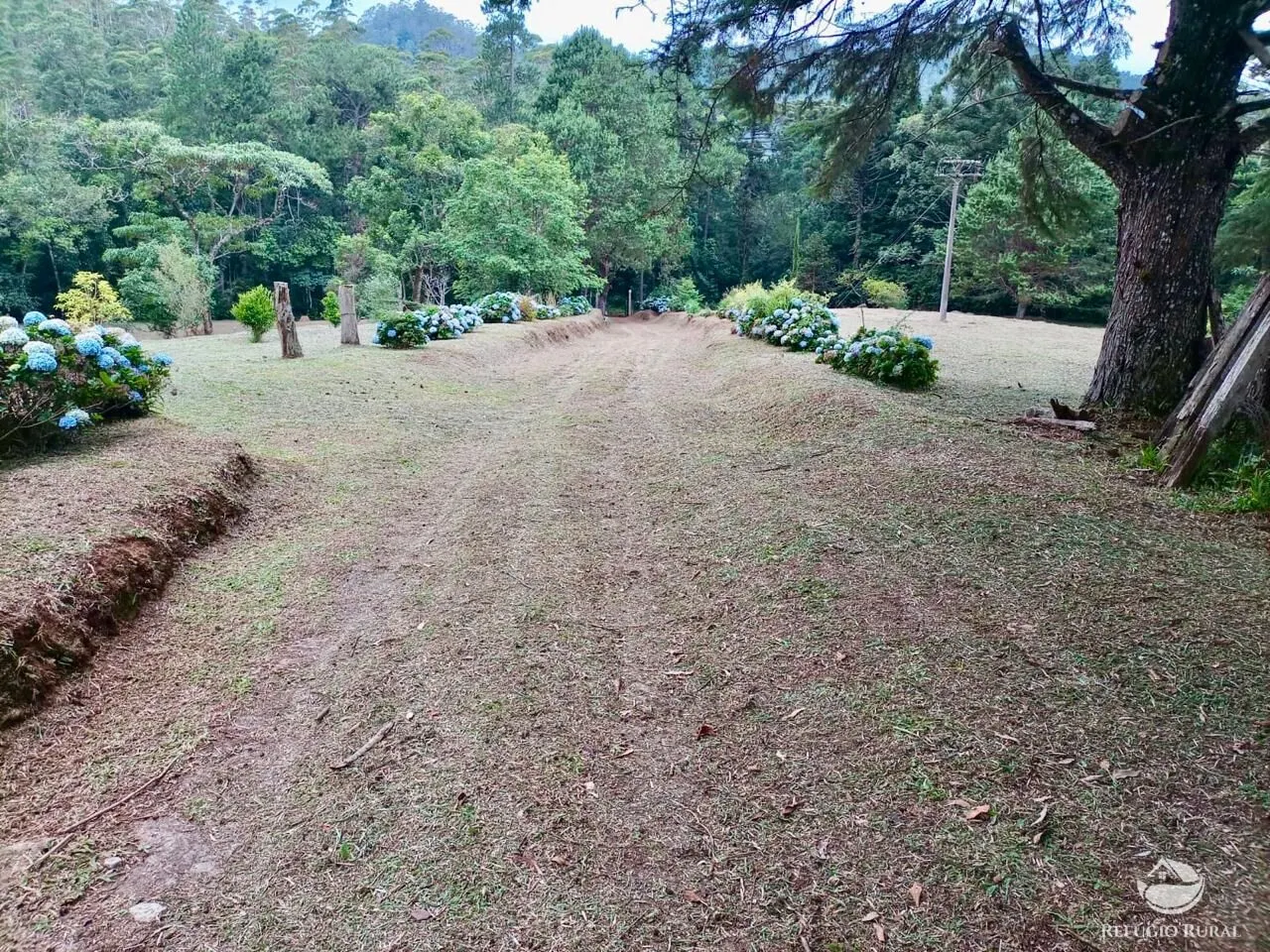 Fazenda à venda de 203 ha em Joanópolis, SP, Brasil