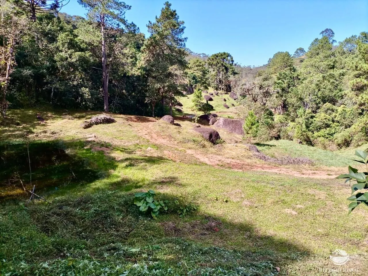 Fazenda à venda de 203 ha em Joanópolis, SP, Brasil