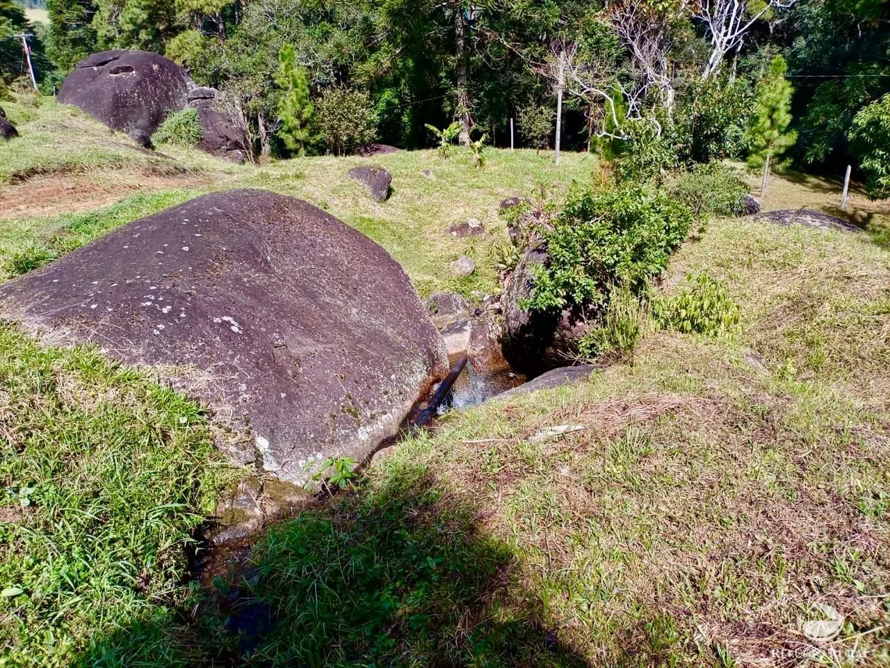 Fazenda à venda de 203 ha em Joanópolis, SP, Brasil