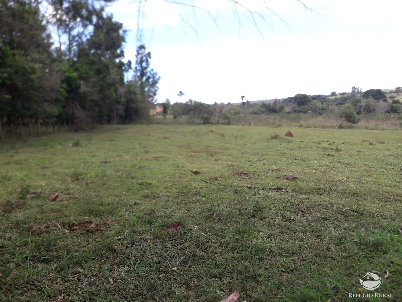 Sítio à venda de 14 ha em Uberlândia, MG, Brasil