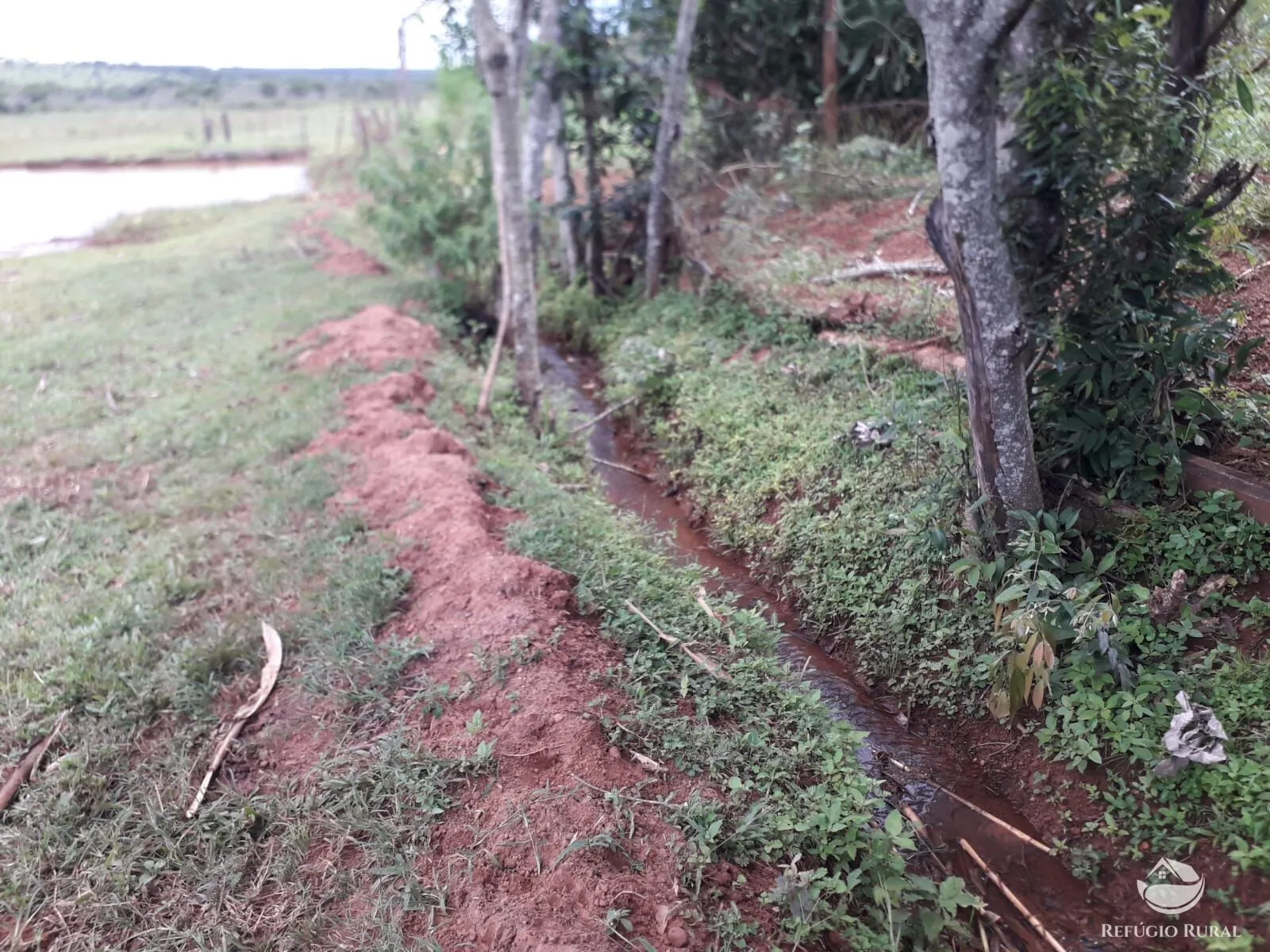 Sítio à venda de 14 ha em Uberlândia, MG, Brasil