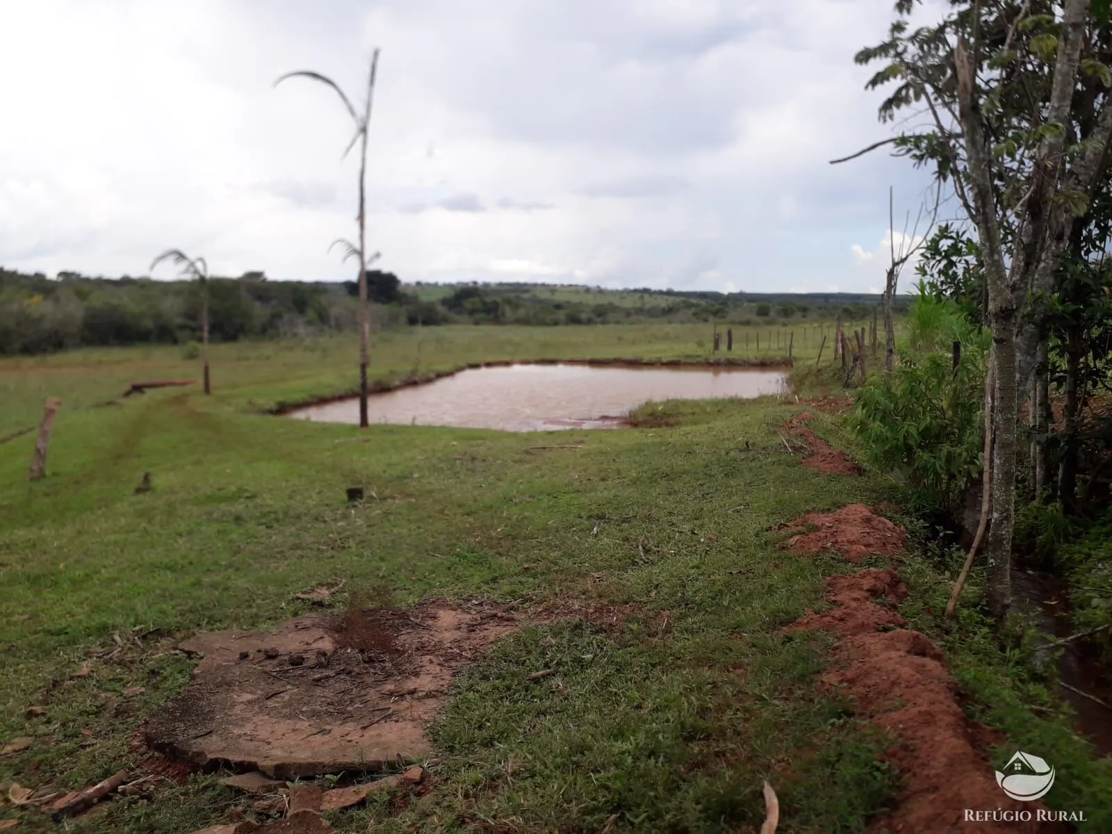 Sítio à venda de 14 ha em Uberlândia, MG, Brasil