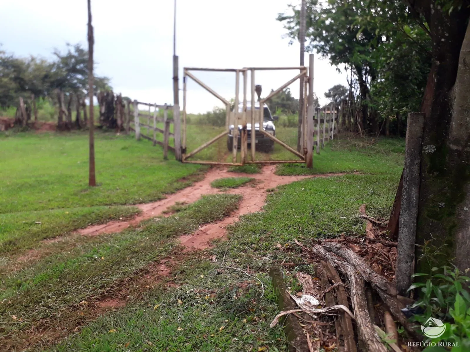 Sítio à venda de 14 ha em Uberlândia, MG, Brasil