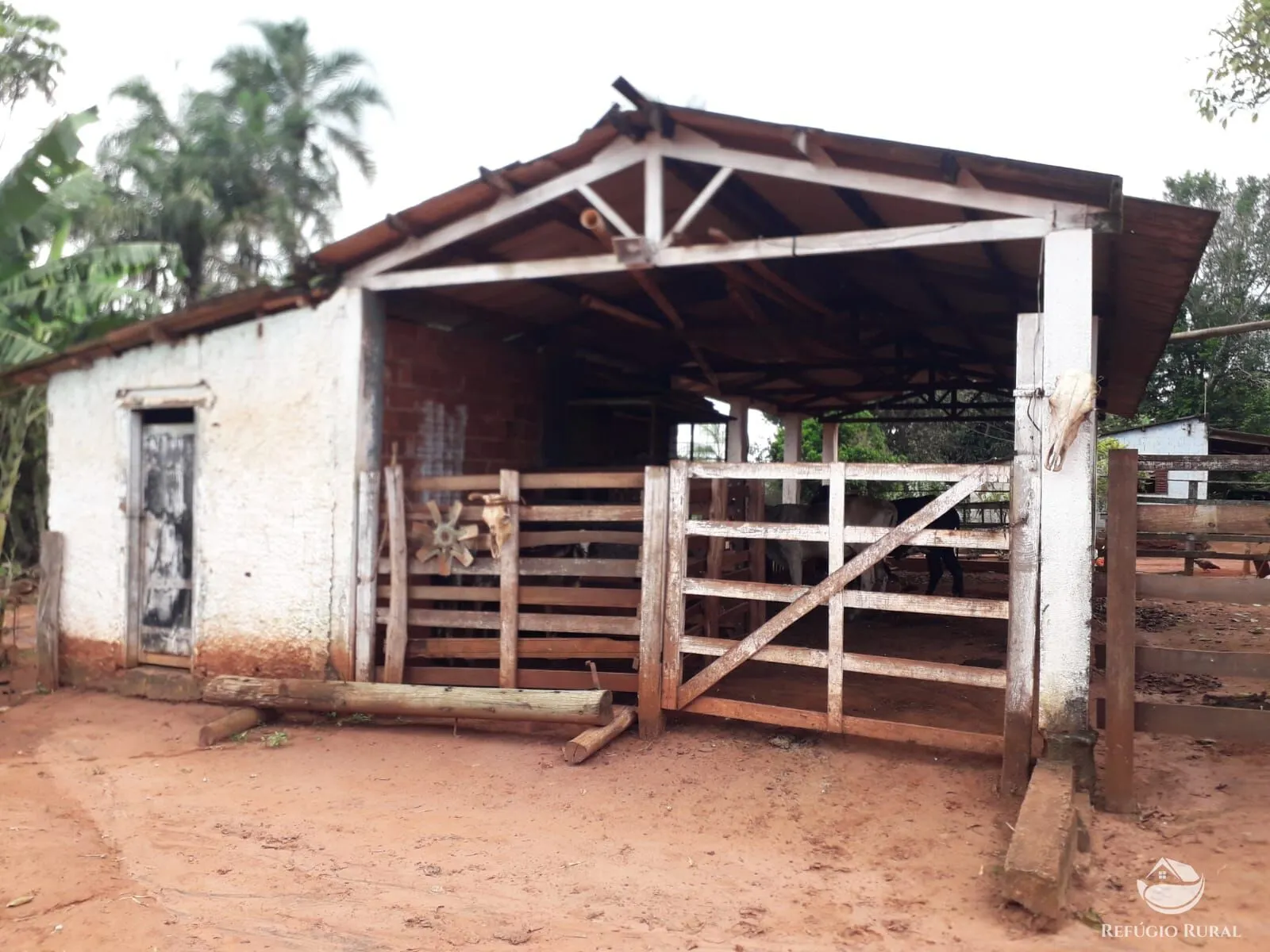 Sítio à venda de 14 ha em Uberlândia, MG, Brasil