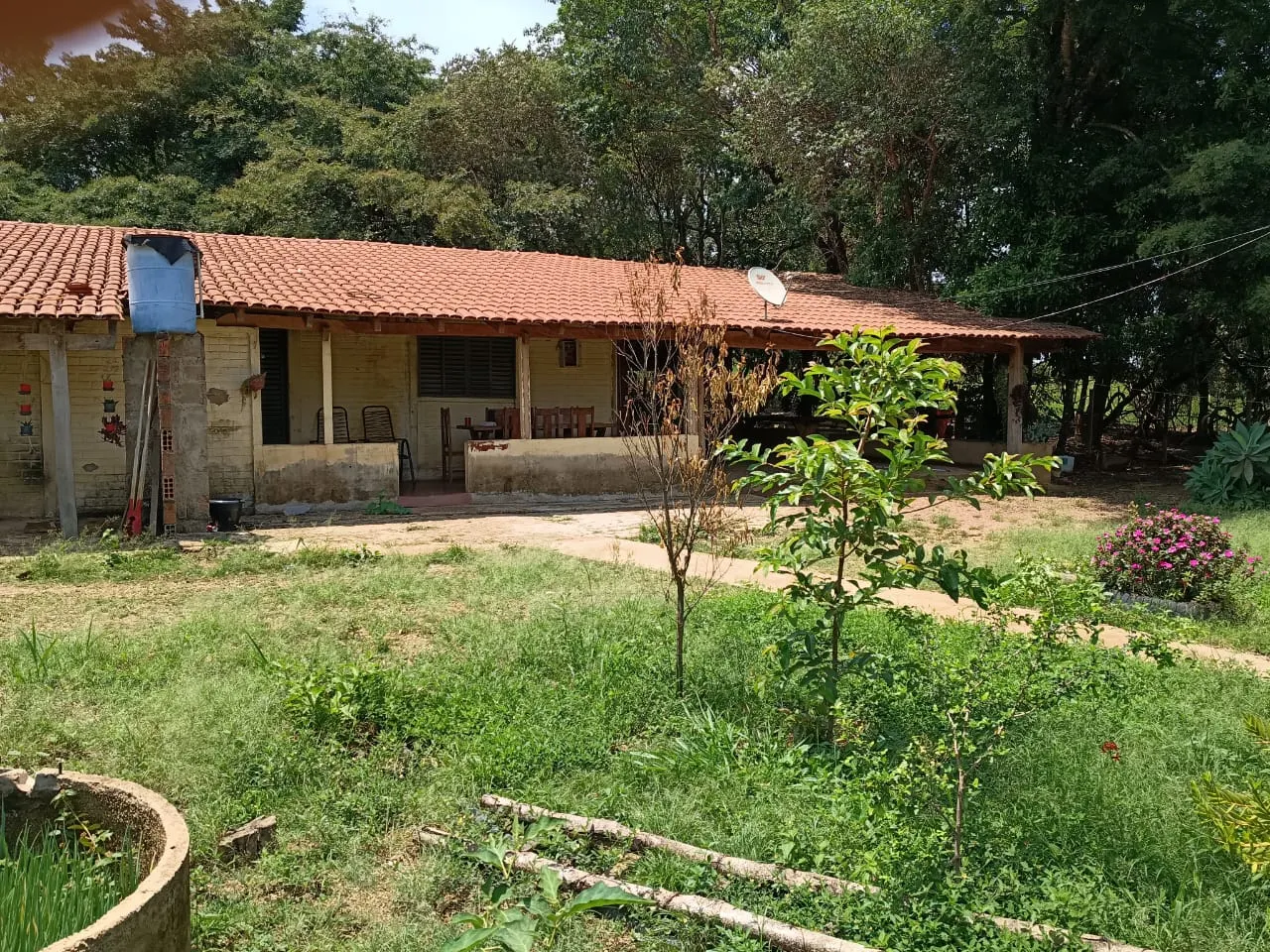 Fazenda à venda de 64 ha em Coromandel, MG, Brasil