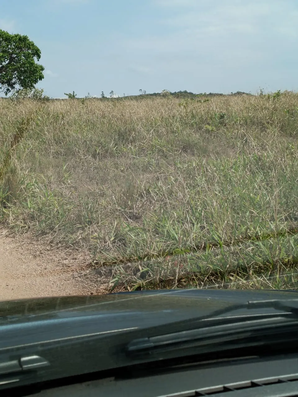 Fazenda à venda de 64 ha em Coromandel, MG, Brasil