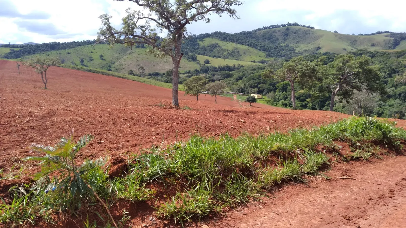 Fazenda à venda de 206 ha em São Lourenço, MG, Brasil