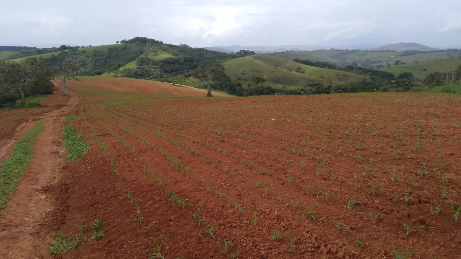 Fazenda à venda de 206 ha em São Lourenço, MG, Brasil