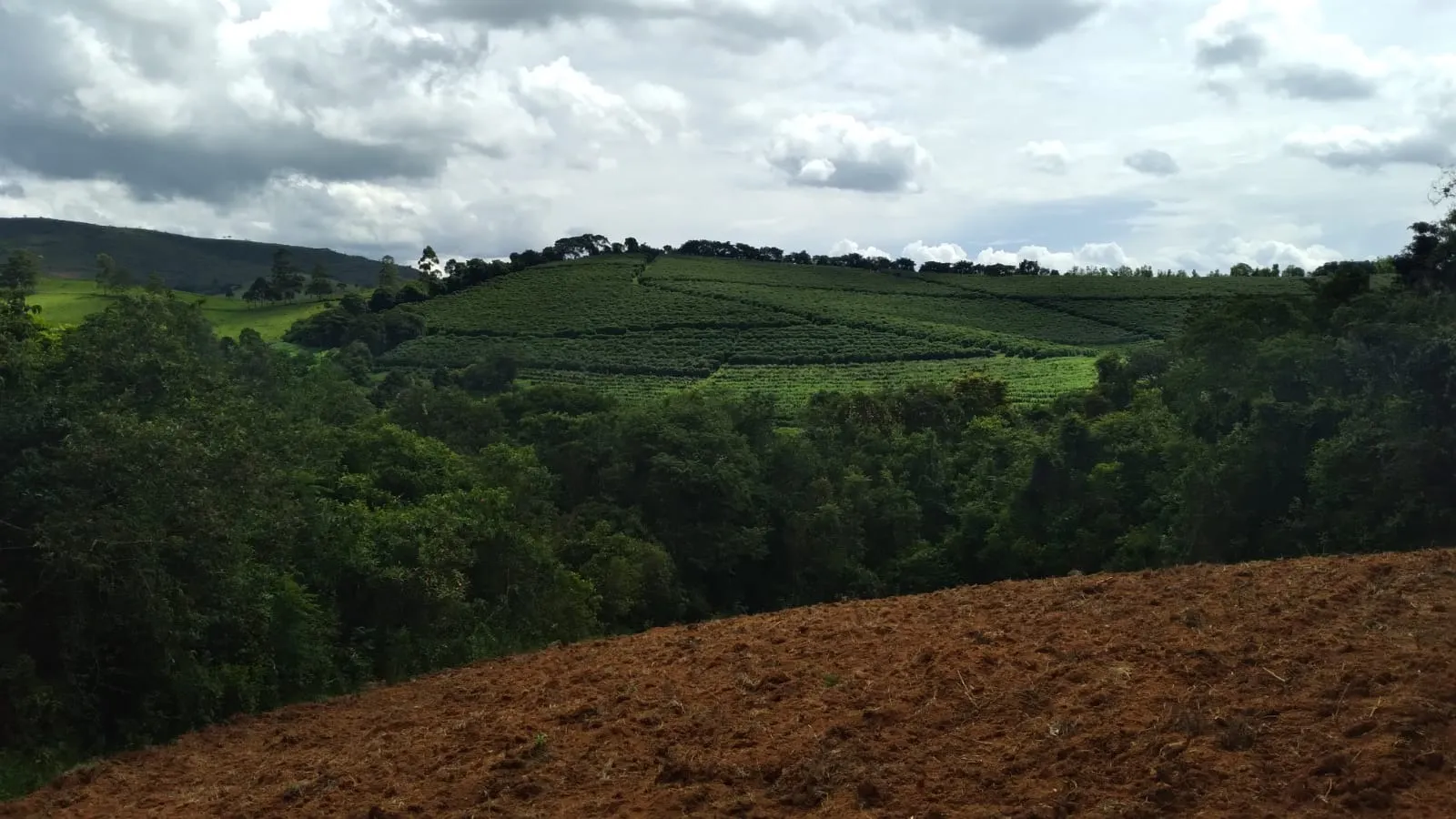 Fazenda à venda de 206 ha em São Lourenço, MG, Brasil