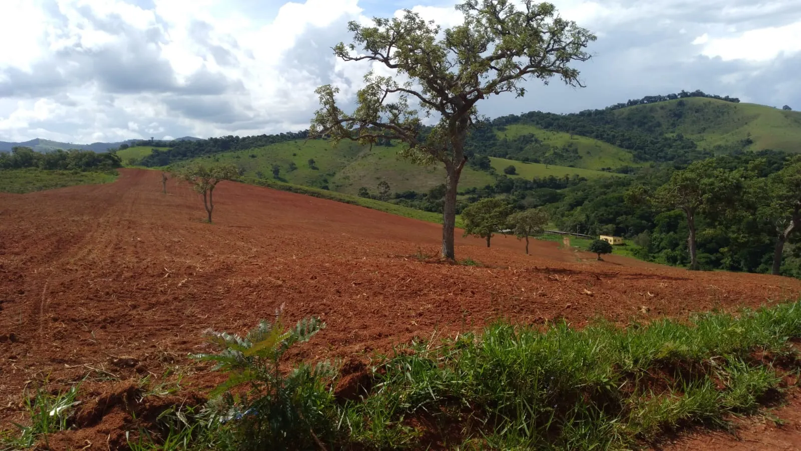 Fazenda à venda de 206 ha em São Lourenço, MG, Brasil