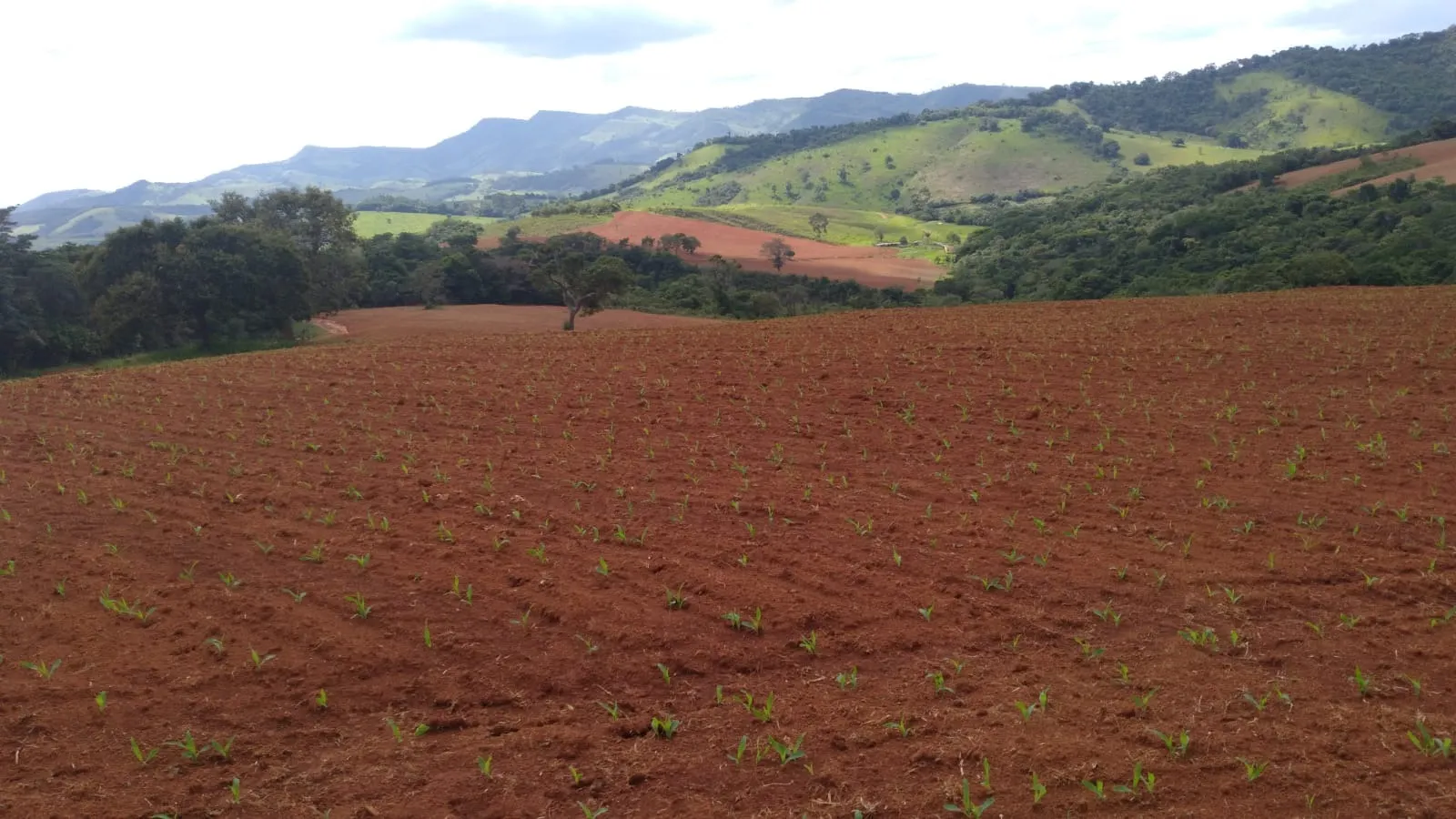 Fazenda à venda de 206 ha em São Lourenço, MG, Brasil