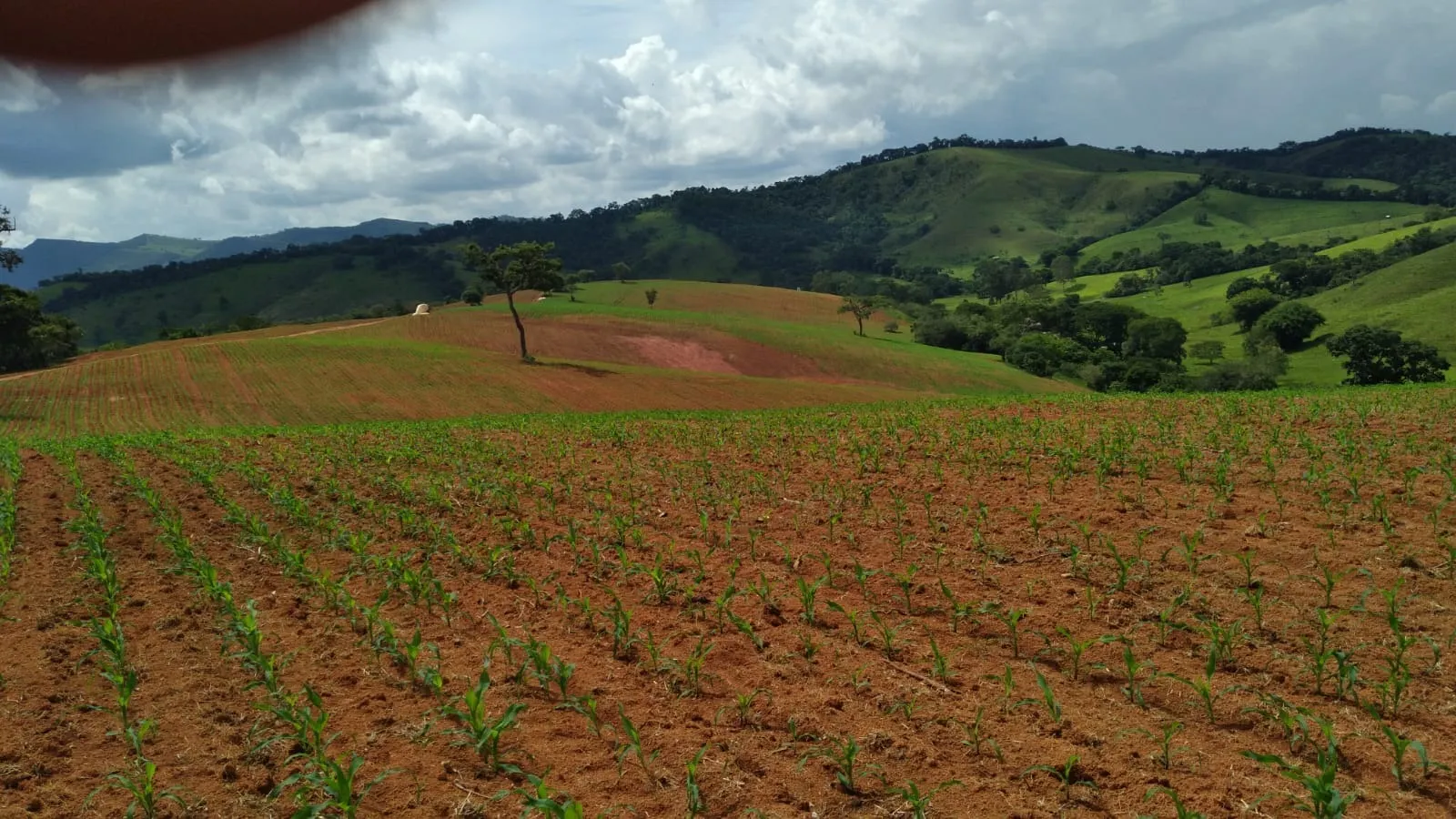 Fazenda à venda de 206 ha em São Lourenço, MG, Brasil