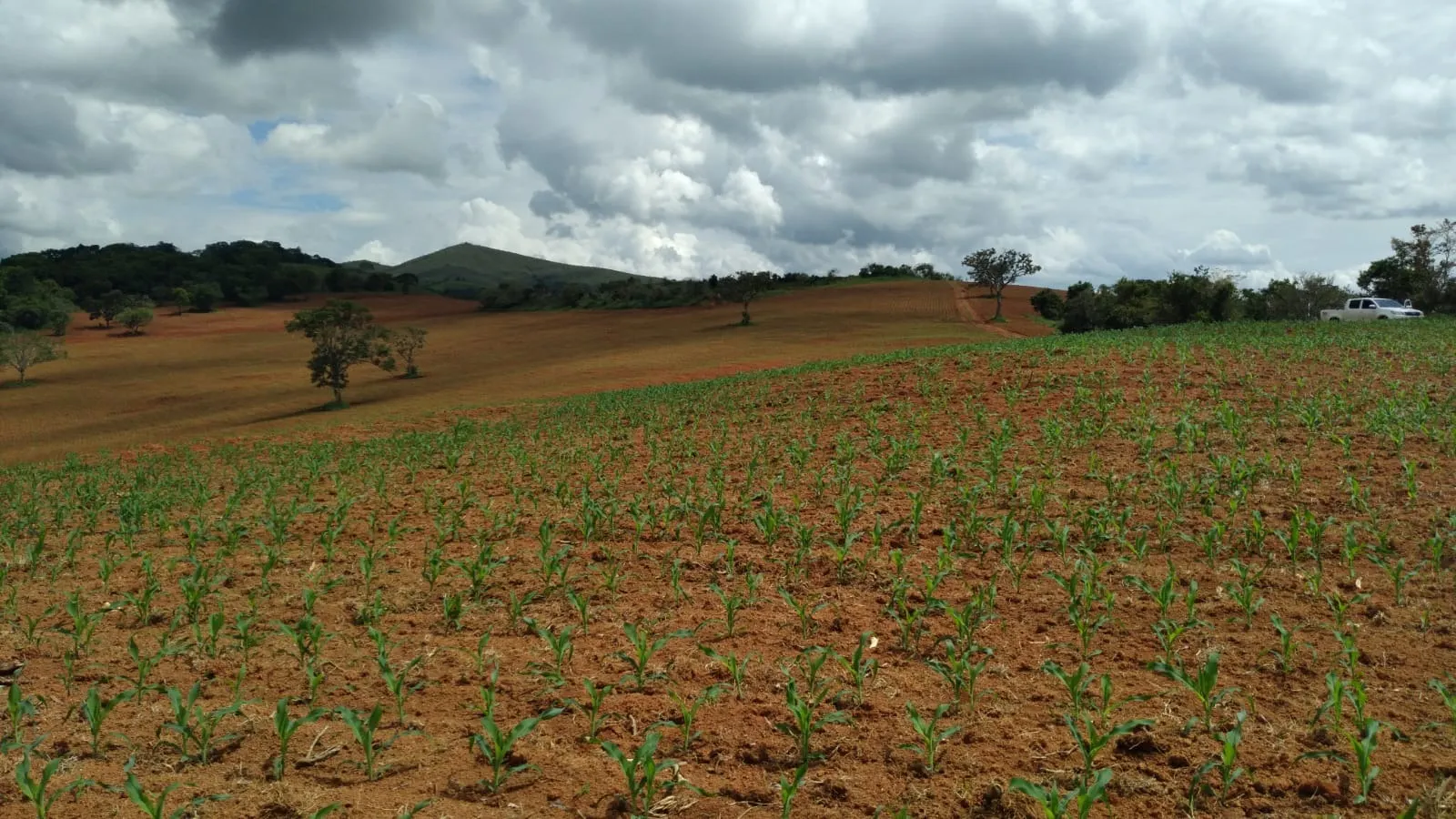 Fazenda à venda de 206 ha em São Lourenço, MG, Brasil