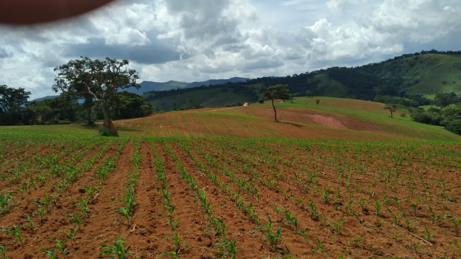 Fazenda à venda de 206 ha em São Lourenço, MG, Brasil