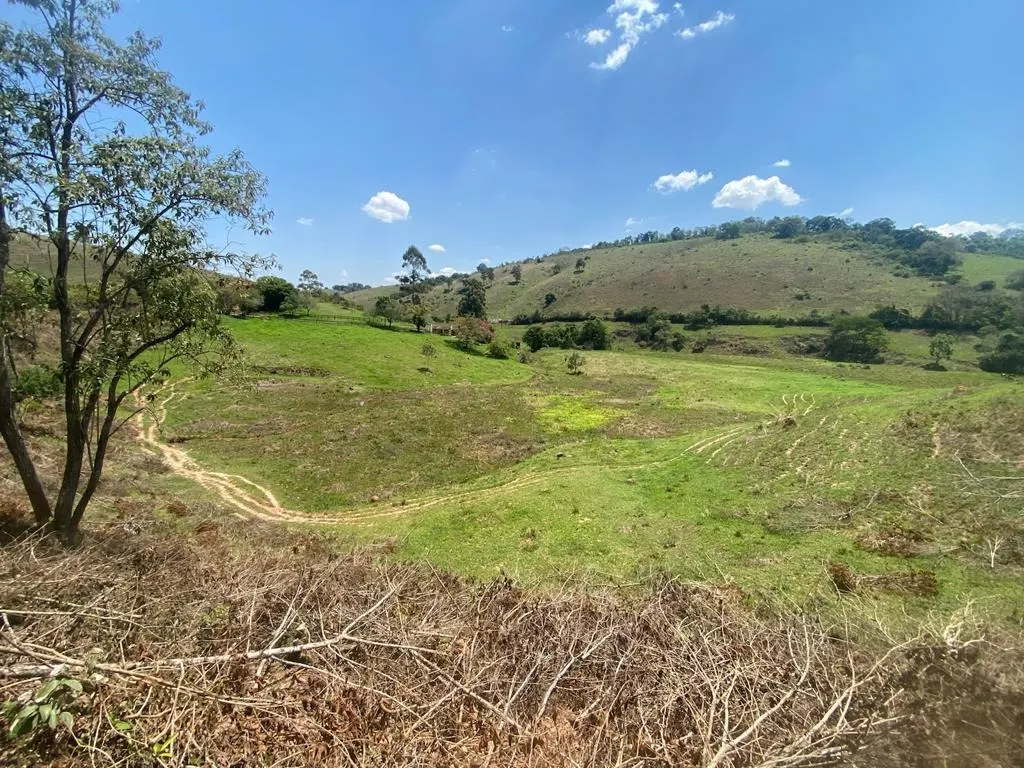 Fazenda à venda de 206 ha em São Lourenço, MG, Brasil