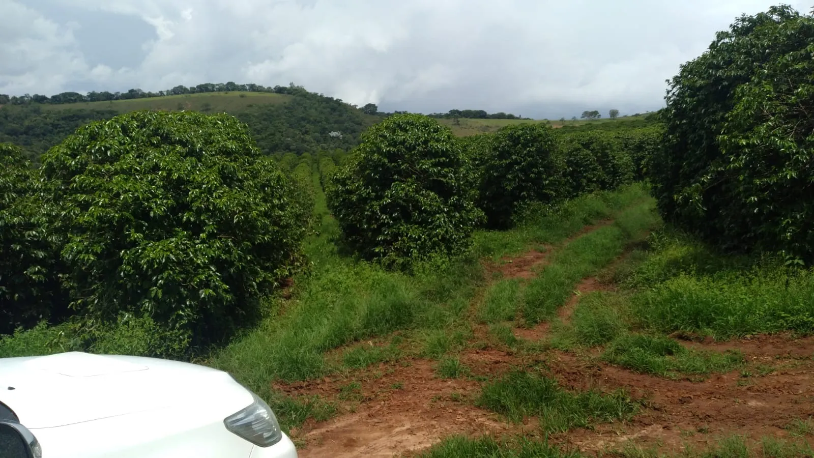 Fazenda à venda de 206 ha em São Lourenço, MG, Brasil