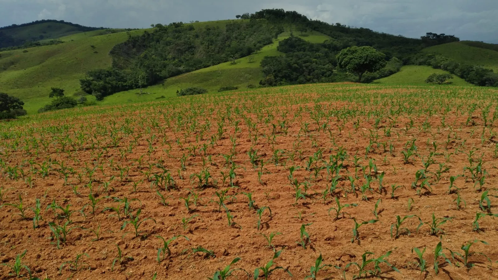 Fazenda à venda de 206 ha em São Lourenço, MG, Brasil