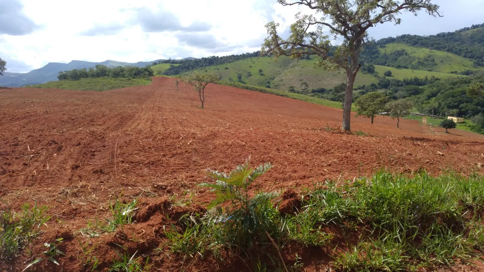 Fazenda à venda de 206 ha em São Lourenço, MG, Brasil