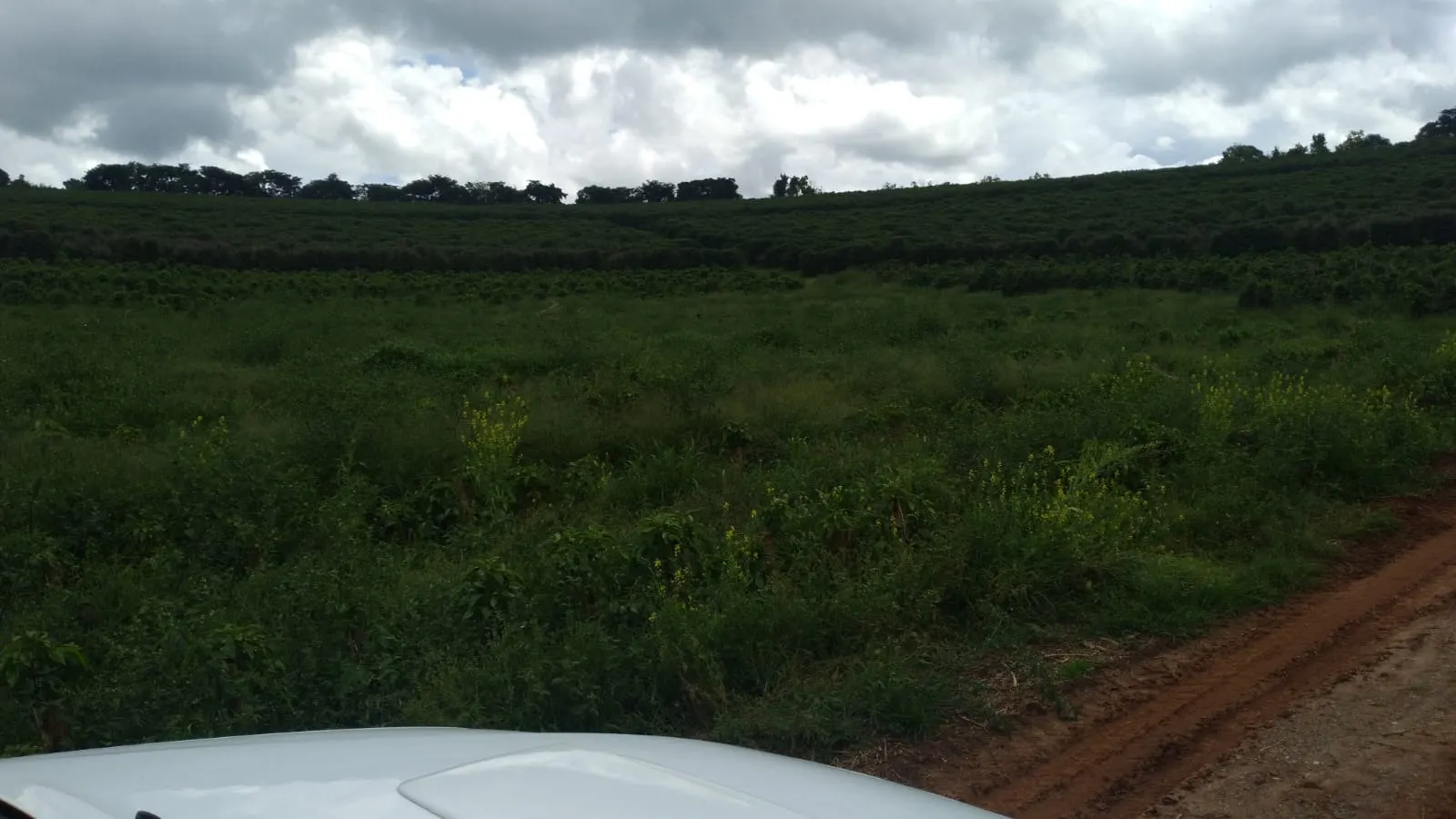 Fazenda à venda de 206 ha em São Lourenço, MG, Brasil
