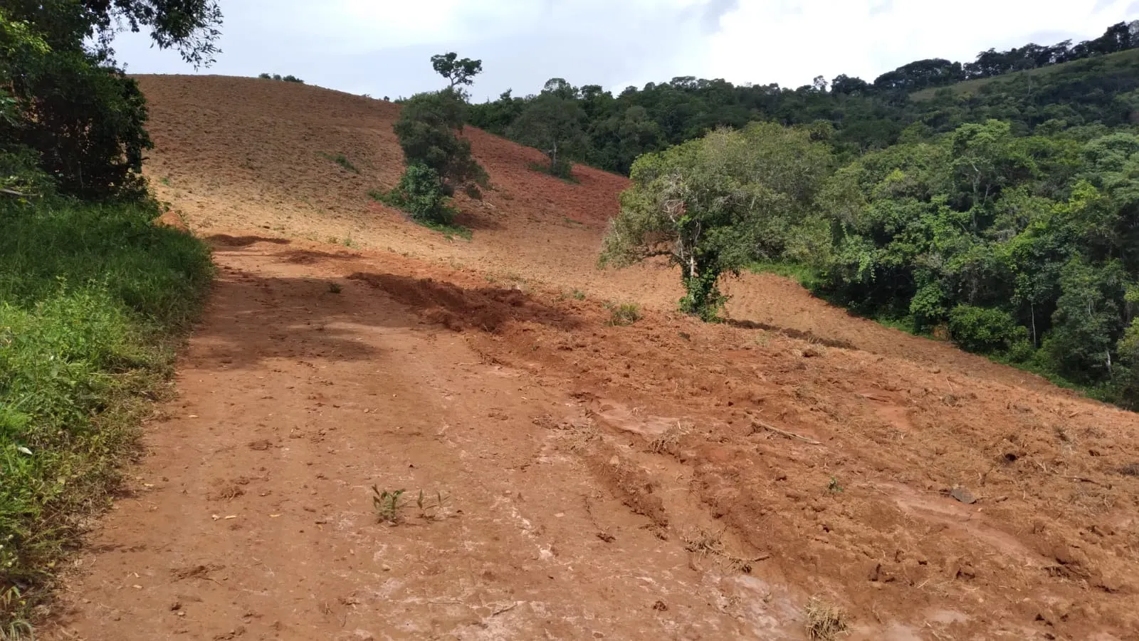 Fazenda à venda de 206 ha em São Lourenço, MG, Brasil
