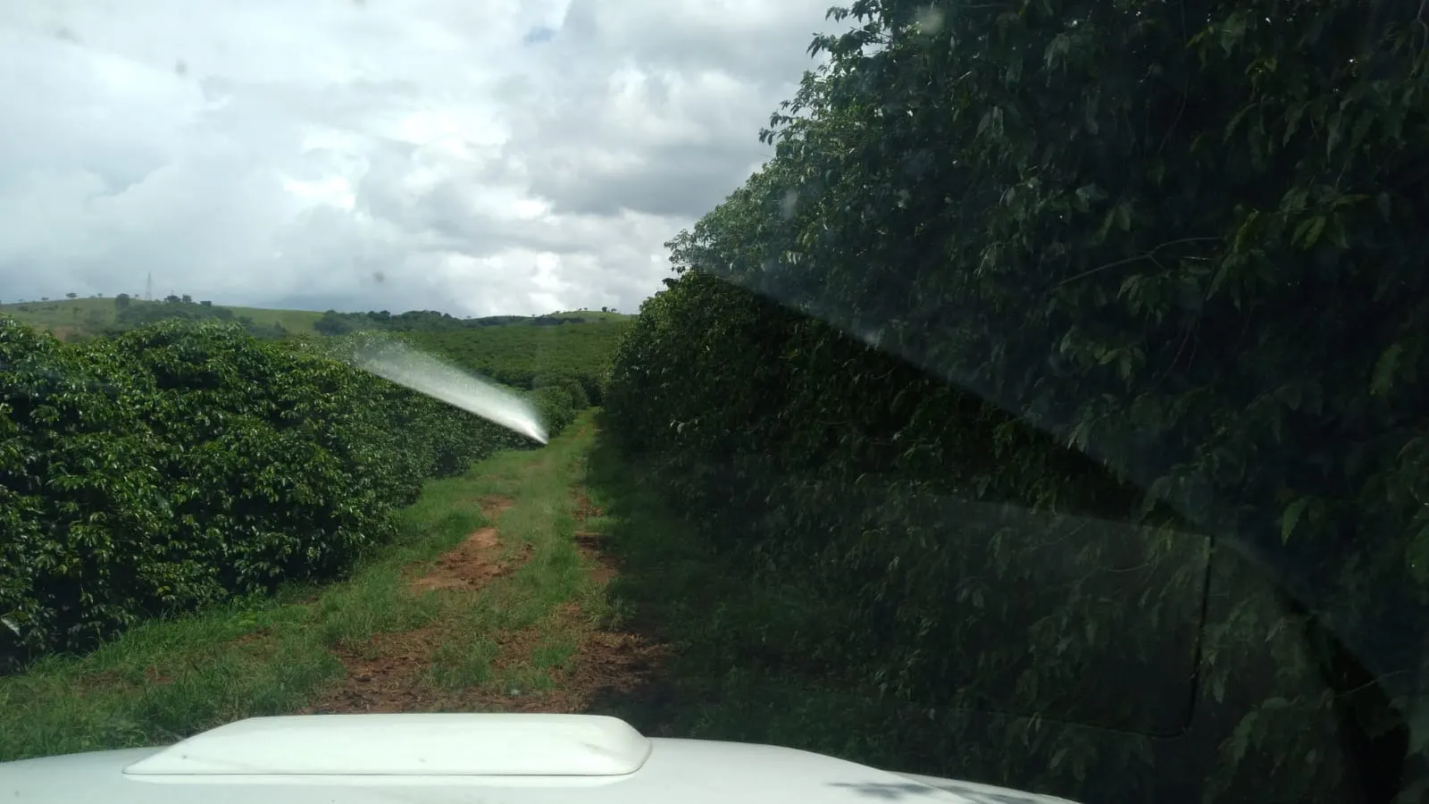 Fazenda à venda de 206 ha em São Lourenço, MG, Brasil