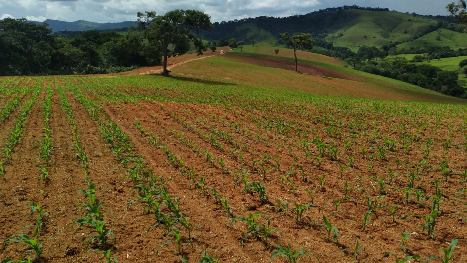 Fazenda à venda de 206 ha em São Lourenço, MG, Brasil