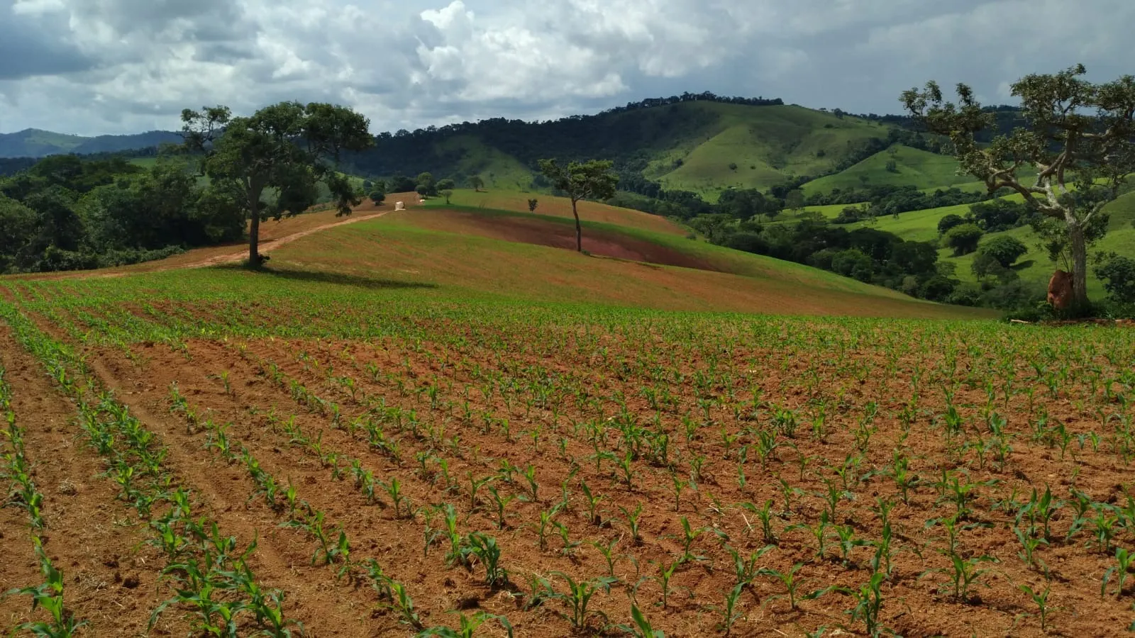 Fazenda à venda de 206 ha em São Lourenço, MG, Brasil