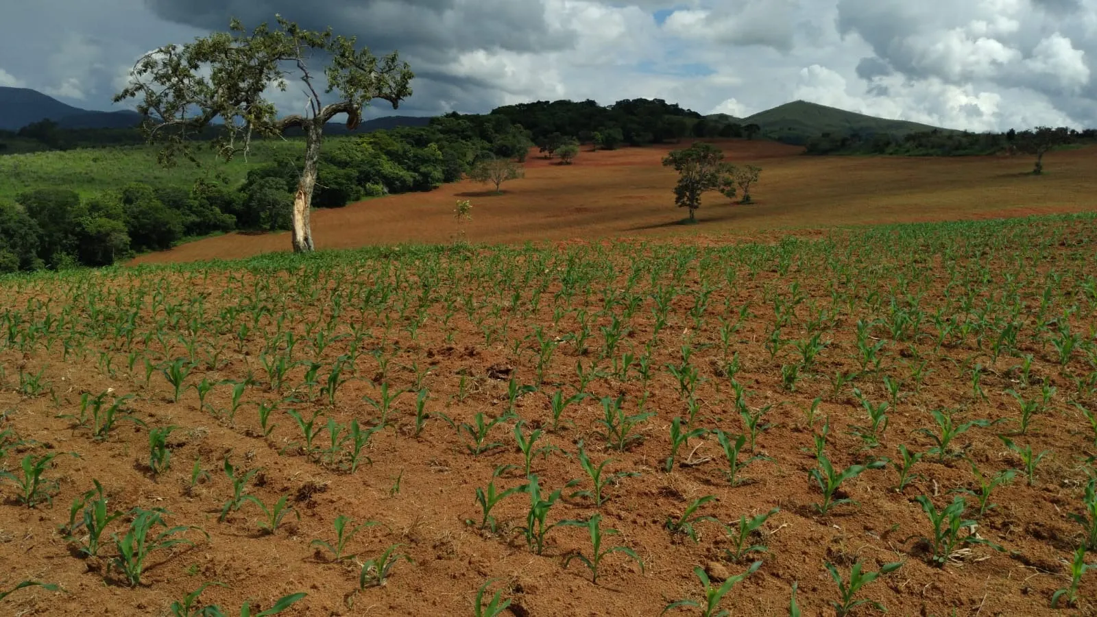 Fazenda à venda de 206 ha em São Lourenço, MG, Brasil