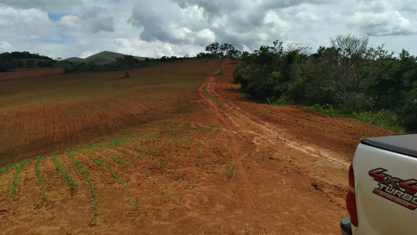 Fazenda à venda de 206 ha em São Lourenço, MG, Brasil