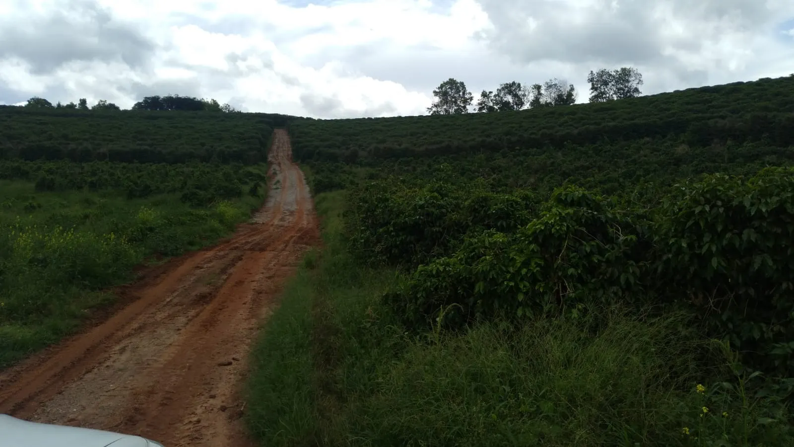 Fazenda à venda de 206 ha em São Lourenço, MG, Brasil