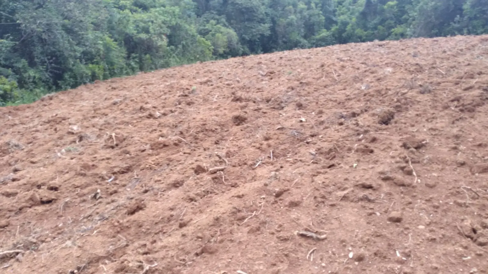 Fazenda à venda de 206 ha em São Lourenço, MG, Brasil