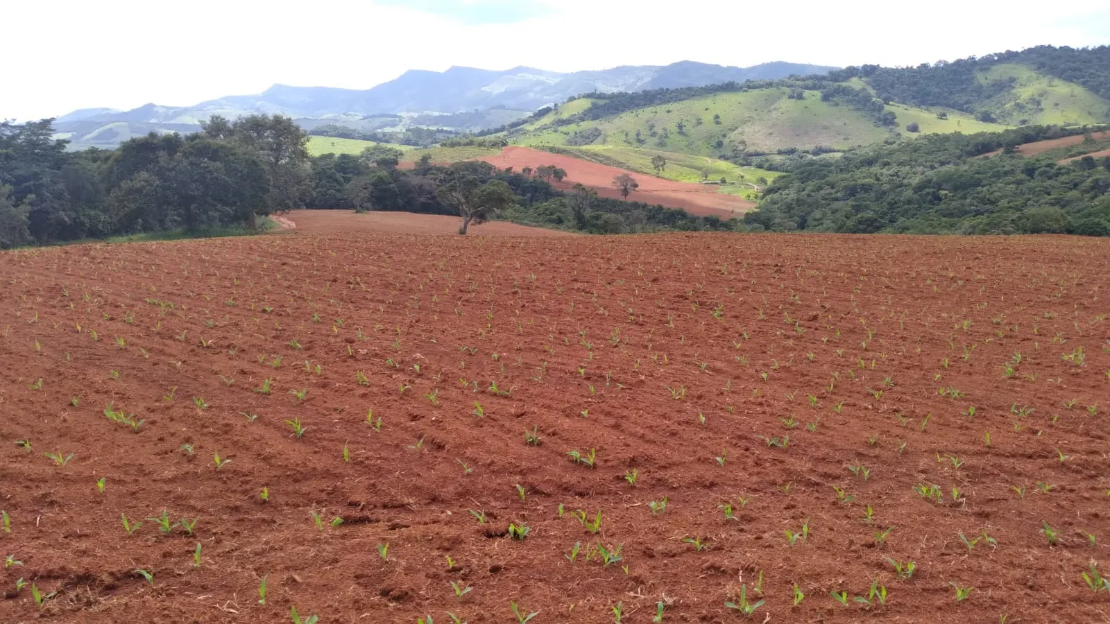 Fazenda à venda de 206 ha em São Lourenço, MG, Brasil