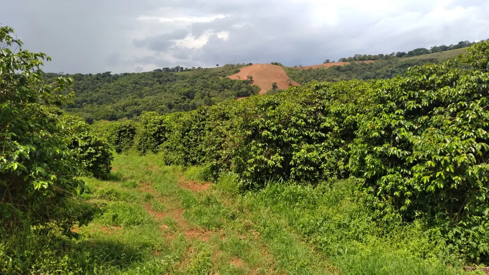 Fazenda à venda de 206 ha em São Lourenço, MG, Brasil