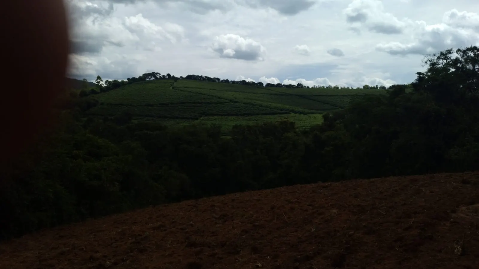 Fazenda à venda de 206 ha em São Lourenço, MG, Brasil