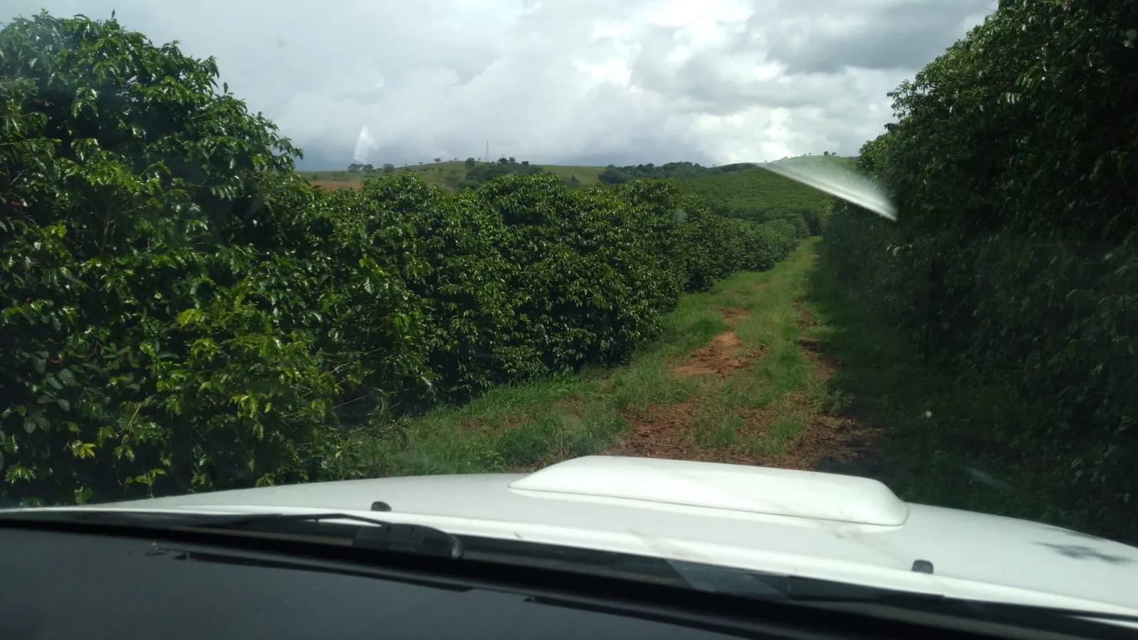 Fazenda à venda de 206 ha em São Lourenço, MG, Brasil