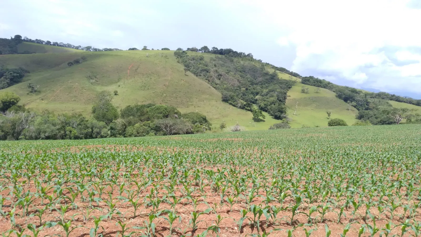 Fazenda à venda de 206 ha em São Lourenço, MG, Brasil