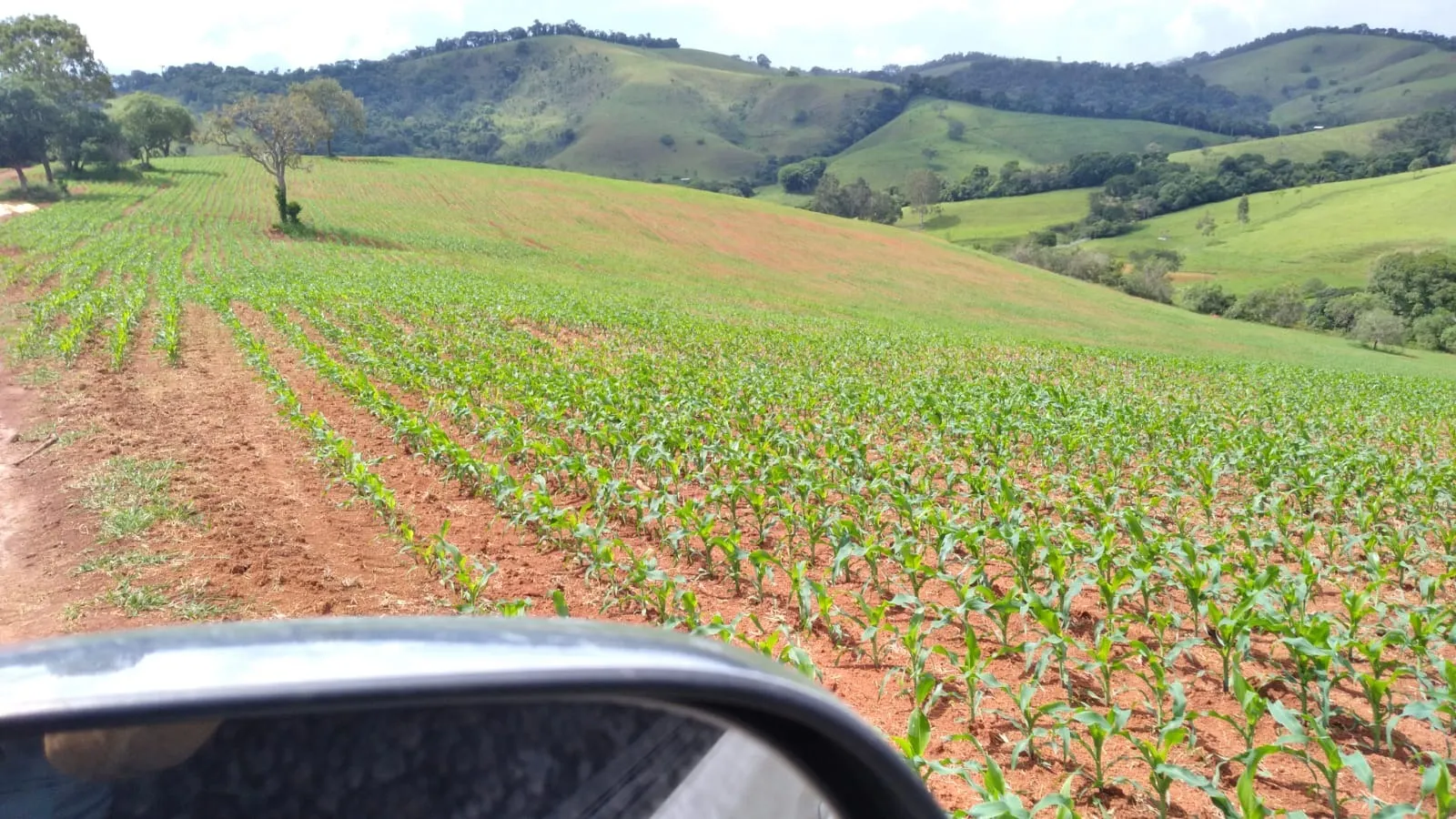 Fazenda à venda de 206 ha em São Lourenço, MG, Brasil