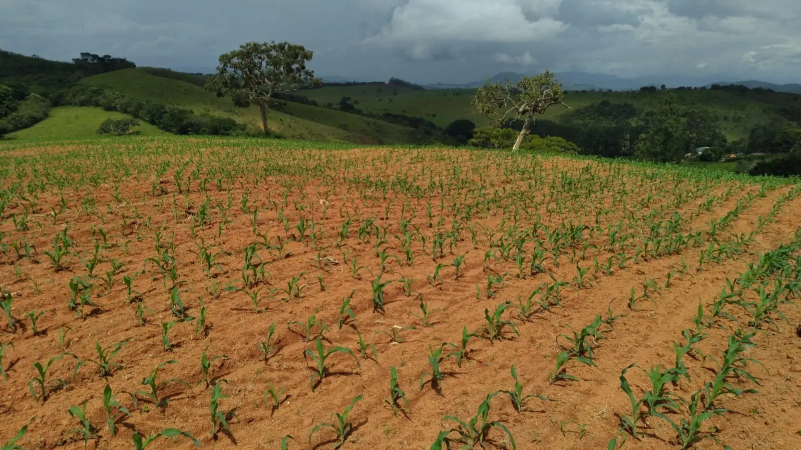 Fazenda à venda de 206 ha em São Lourenço, MG, Brasil