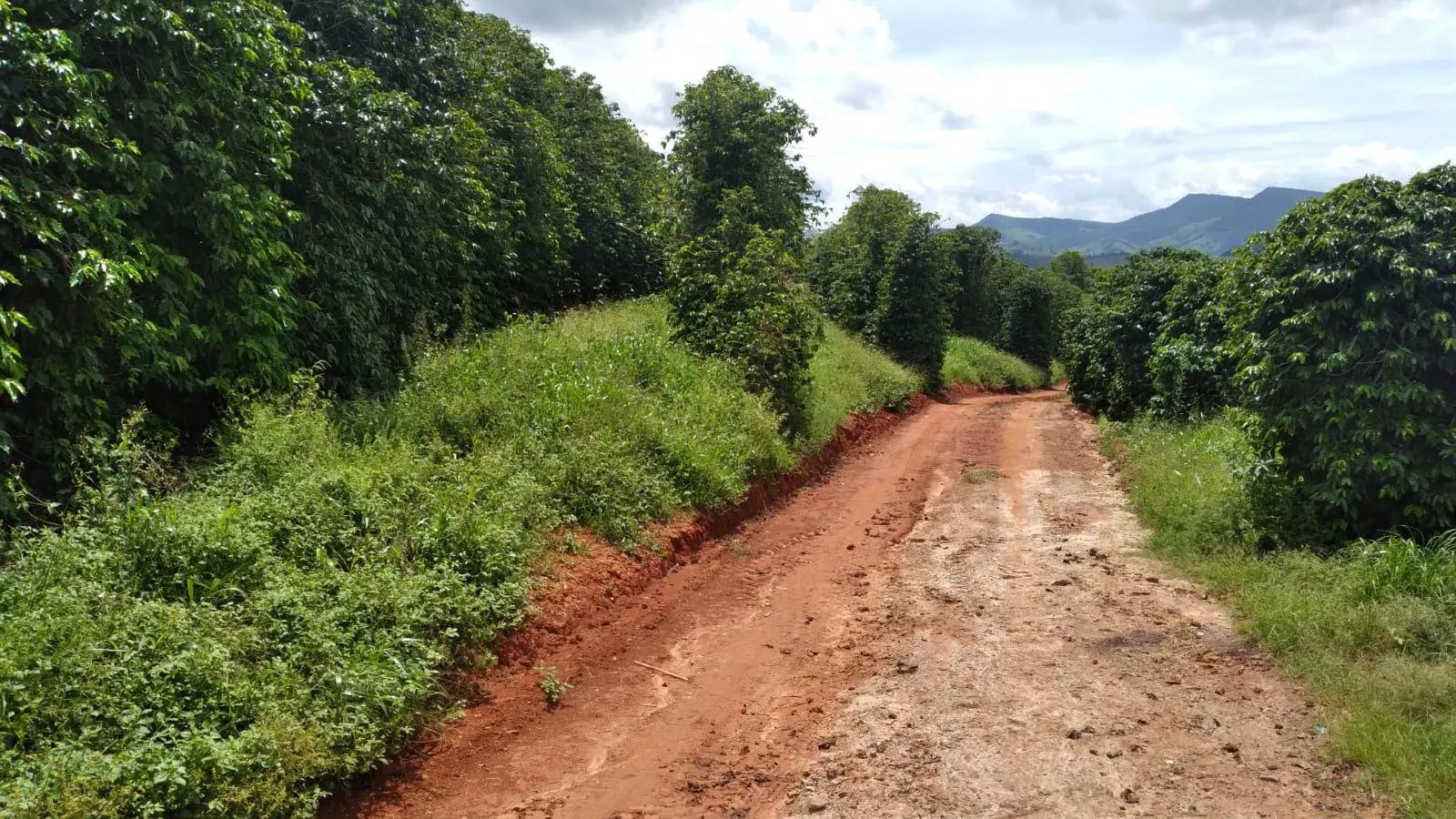 Fazenda à venda de 206 ha em São Lourenço, MG, Brasil