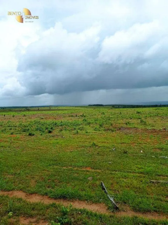 Fazenda à venda de 13.150 ha em Nova Ubiratã, MT, Brasil