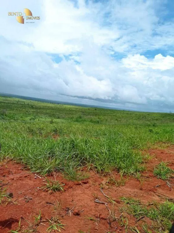 Fazenda à venda de 13.150 ha em Nova Ubiratã, MT, Brasil