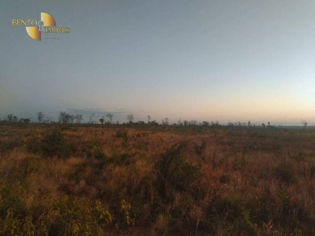 Fazenda à venda de 13.150 ha em Nova Ubiratã, MT, Brasil