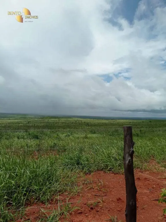 Fazenda à venda de 13.150 ha em Nova Ubiratã, MT, Brasil