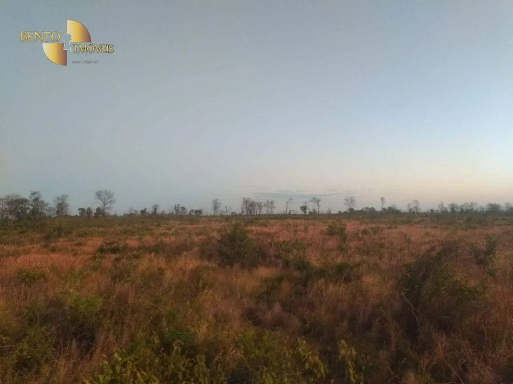 Fazenda à venda de 13.150 ha em Nova Ubiratã, MT, Brasil