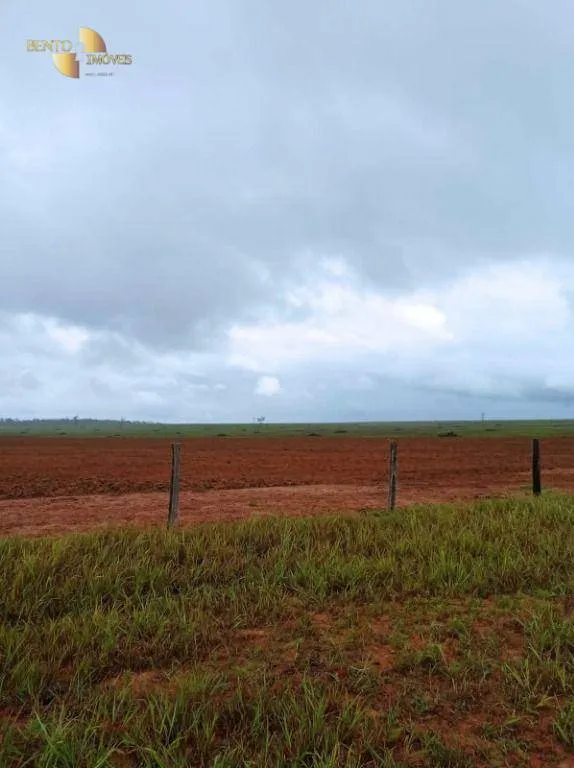 Fazenda à venda de 13.150 ha em Nova Ubiratã, MT, Brasil