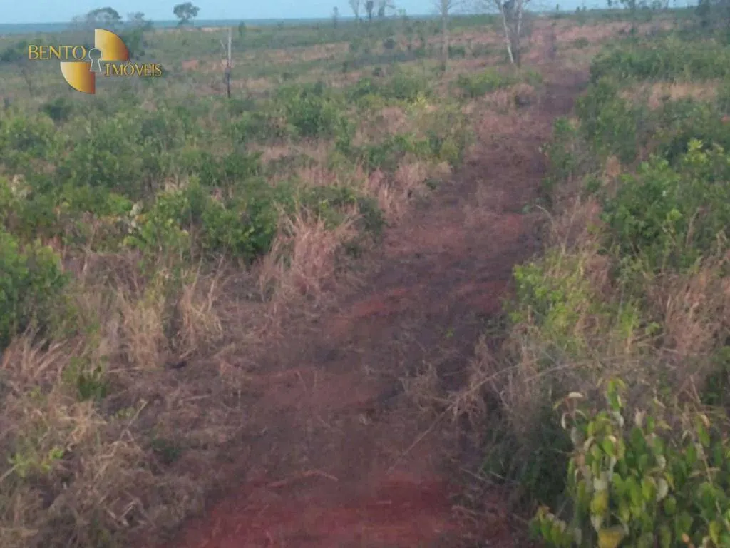 Fazenda à venda de 13.150 ha em Nova Ubiratã, MT, Brasil