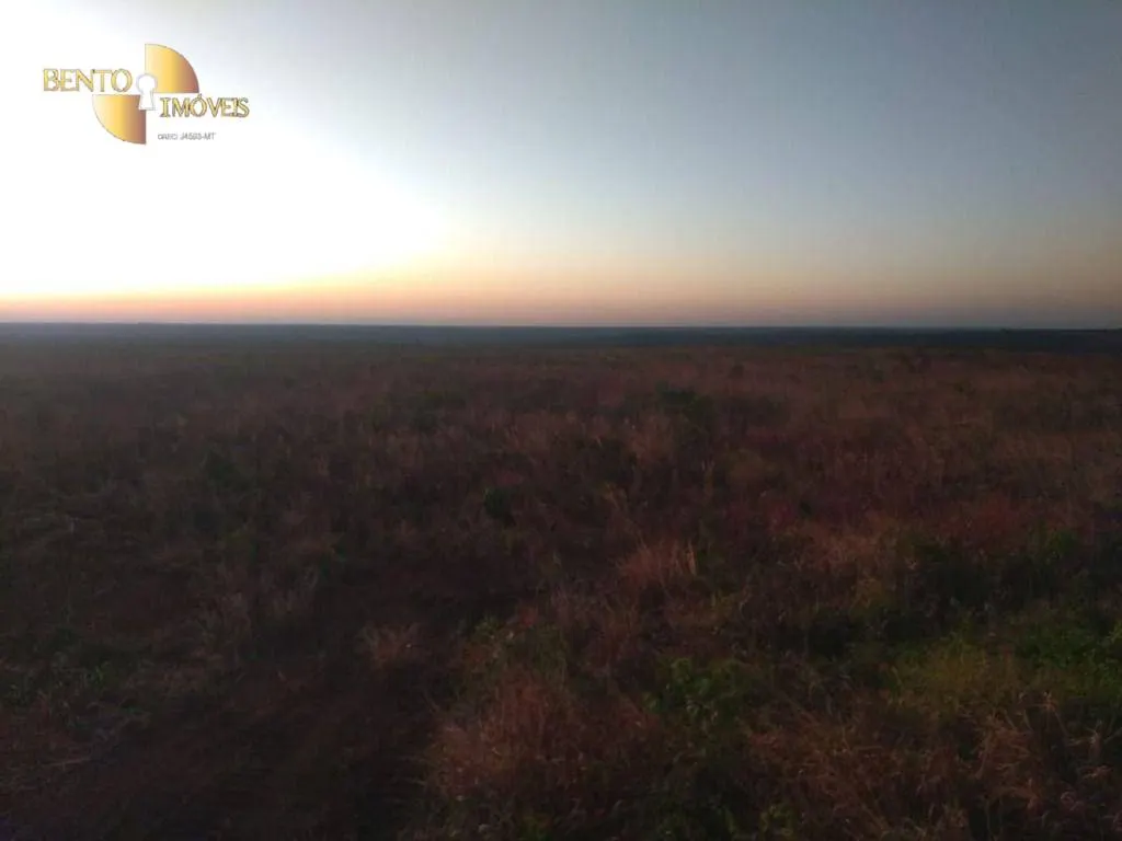 Fazenda à venda de 13.150 ha em Nova Ubiratã, MT, Brasil
